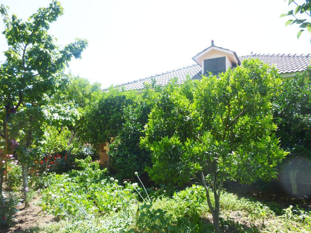 Apartman Altini *